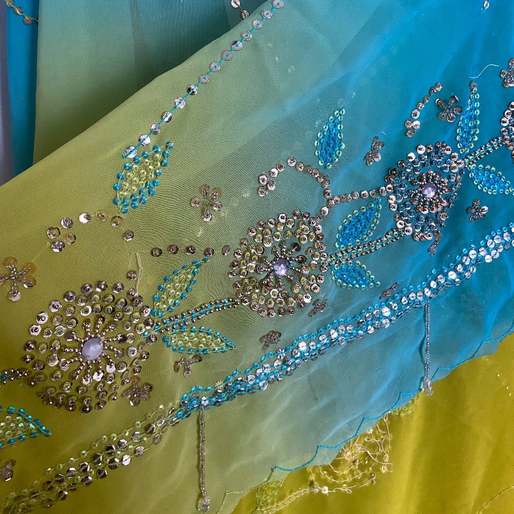 Beaded saree colours